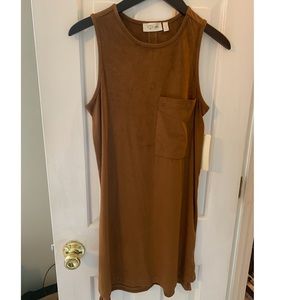 Brown suede dress from Stitch Fix.